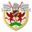 Bryntirion Athletic