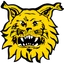 Ilves Tampere