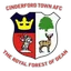 Cinderford Town