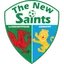 The New Saints